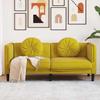 VidaXL 2-Seater Sofa with Cushions, Chair with Armrests and Backrest, Seat with Legs, Living Room TV Armchair, Modern, 372638