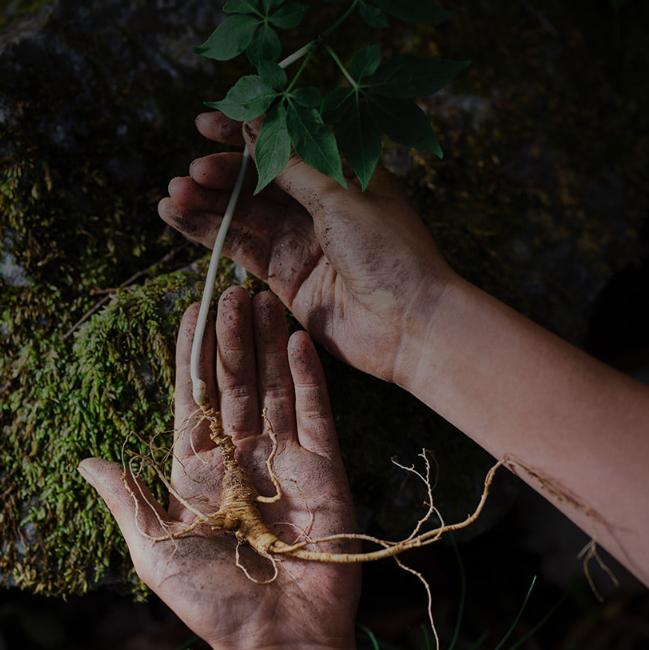 The History of Whoo Hwanyujin 50ml Special Set