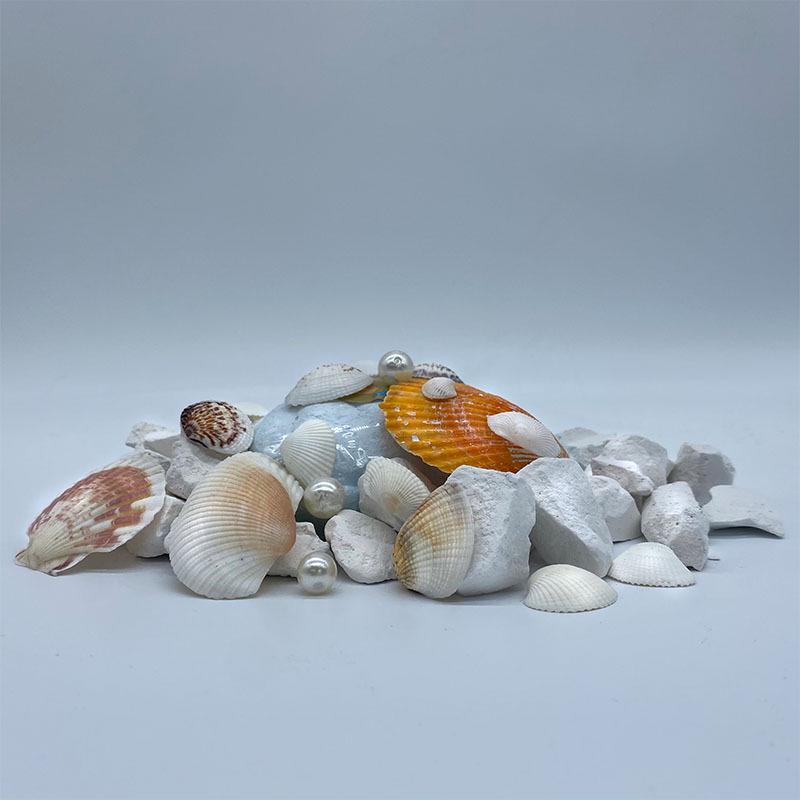 Marine Archaeology Treasure Dig Kit: Seashell and Pearl Role-Playing Educational Toy for Kids