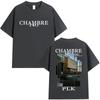 Üst giysisi – T-shirtler