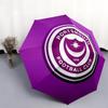 Portsmouth FC pattern, automatic folding umbrella, portable and foldable design, 8 ribs, a Christmas or birthday gift.