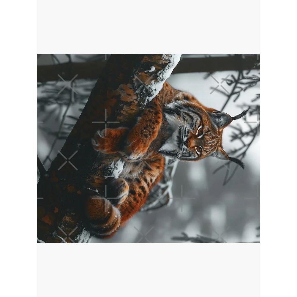 Lynx Tapestry 4 Winter Edition 75x100 чёрный