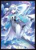 Chara Sleeve Collection Matte Series Worlds Beyond Girl Shadowverse "New Ace" (No. MT2169)