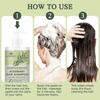 Rosemary Hair Growth Shampoo for Hair Loss, Thinning Hair for Men and Women - Mint Strengthening Shampoo with Tea Tree Oil Bition