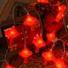 Chinese Style Spring Festival Lights Decor Wealth God Lantern String  Birthday Celebration