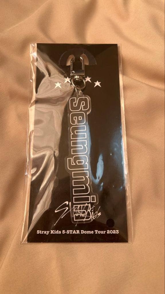 [USED] Stray Kids Seungmin Keychain 2023