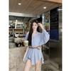Spring Polo Collar Loose Long-sleeved Dress Women's New Irregular Sweet Cool Shirt Skirt Short Skirt Trendy