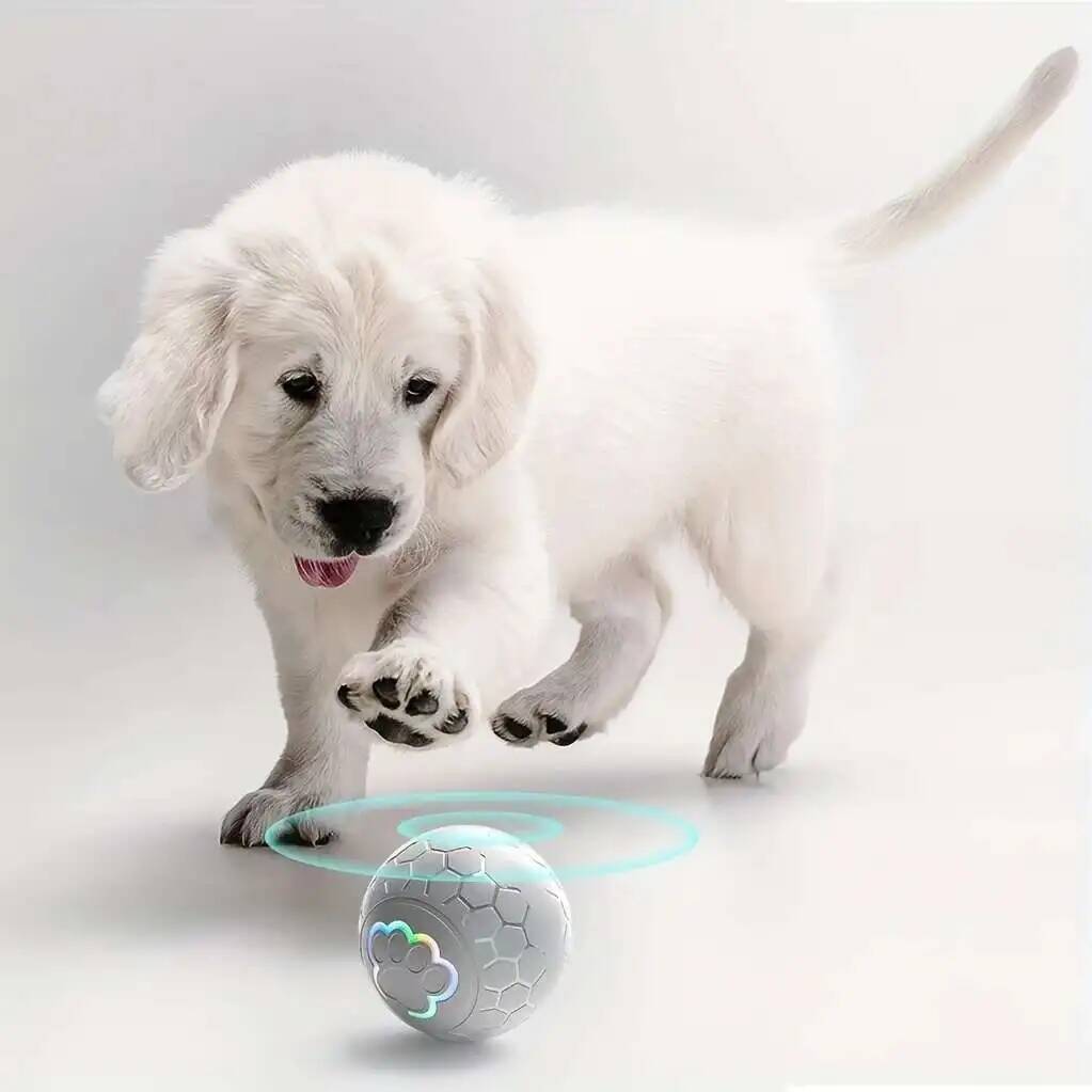 Intelligenter Hund Interaktiver Spielzeugball Elektronischer Haustier-Spielzeugball USB Automatischer Hüpfender Rollender Spielzeugball Mit RGB-Lichtern Welpen Katze Produkt