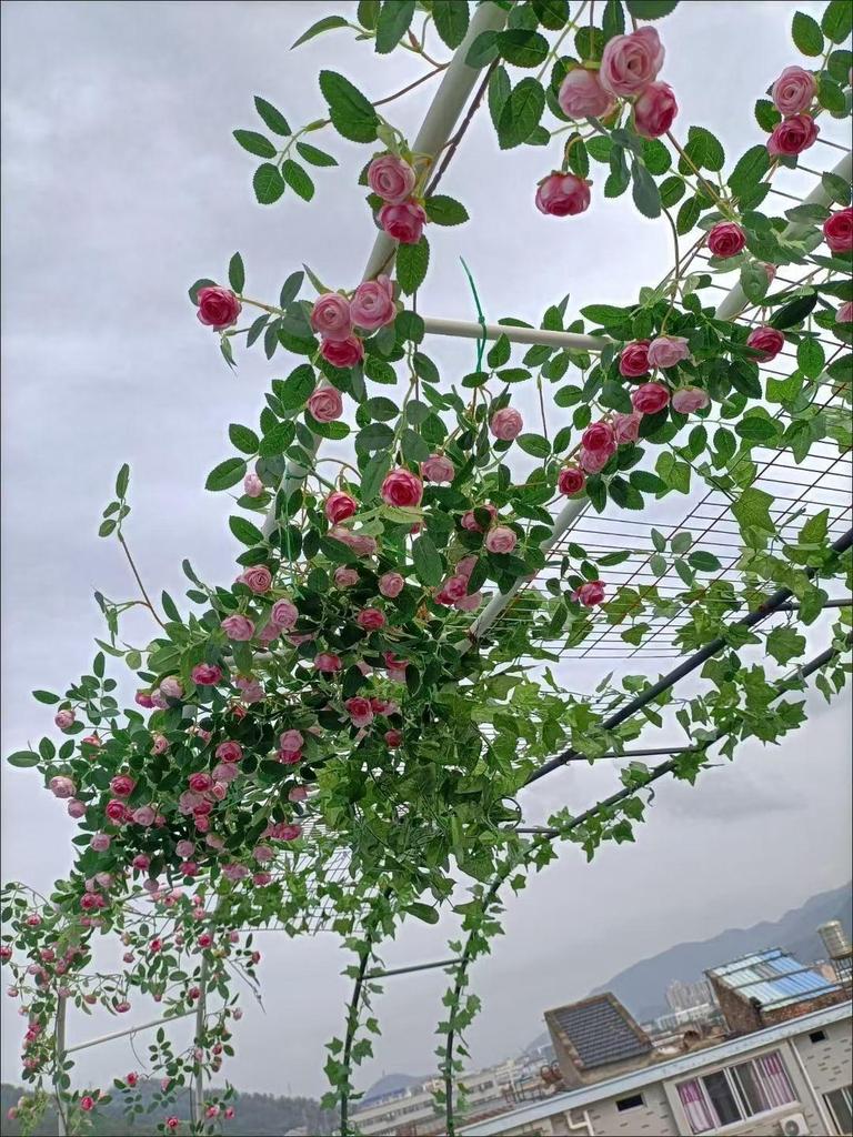 Artificial Rose Vine Wall Hanging for Indoor Decoration