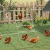 Chicken Perch for Coop, Wooden and Galvanised Steel Roosting Bar Jungle Gym, Chicken Roosting Ladder for Backyard Farm