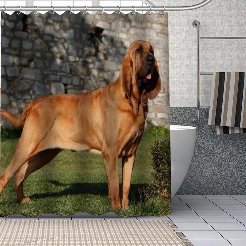 Adorable Bloodhound Puppy Shower Curtain, Waterproof Fabric With Hooks, Multiple Sizes Unique Pet Design For Bathroom Decor