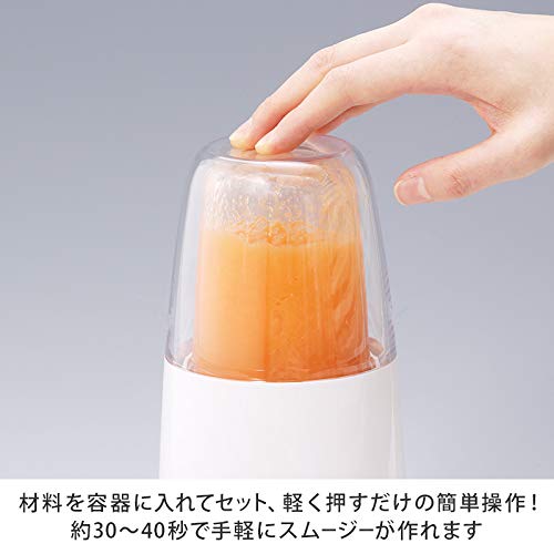 Iwatani Silent Blender Grater Cutter Set IFM-S30G-SET (Red)