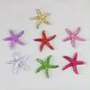 E-Commerce Firm Sale 40mm Flatback Resin Cabochons Large Starfish Design with Artificial Sea Theme for Souvenirs