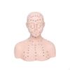 Cap de manechin pentru practică masaj Model Profesional cu Umeri Mannequin Păpușă gene pentru
