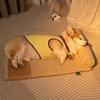 Detachable Soft Plush Dog House with Pillow Comfortable Thickened High Elastic Sponge Indoor Dog Sleeping Mat Pets Accessories