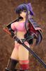 SKYTUBE Walkure Romanze Ryuzoji Akane Scale PVC Painted Finished Figure 1/5.5