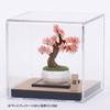 Kawada Paper Nano 360 Cherry Blossom Bonsai x 12 x 17 Ages 12 and Paper Craft Miniature Interior PS-12, 0.7 cm, Up, Kit, Kit, Design, PS-12