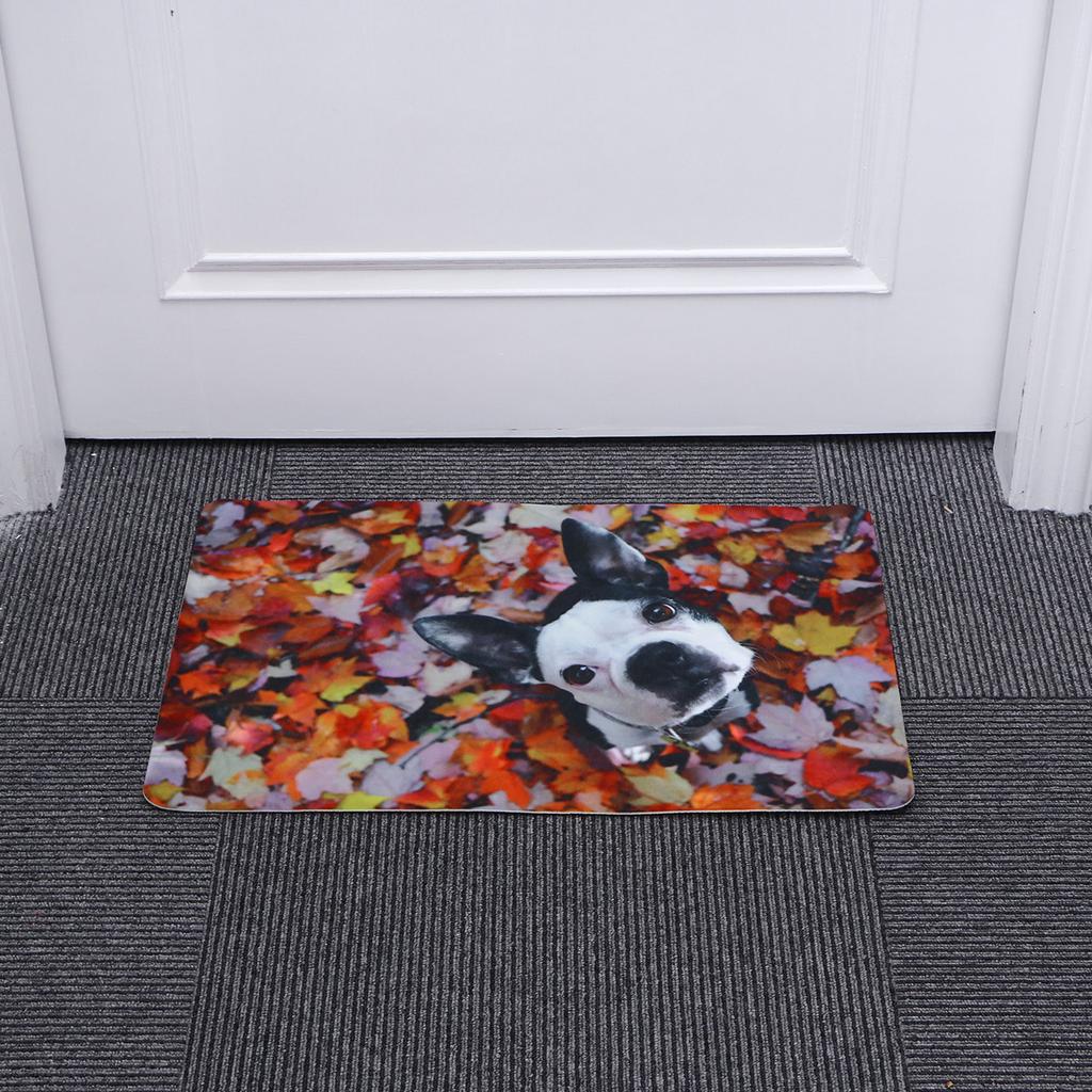 Buy Door Mat Thick Absorbent Nonslip Interior Door Mat Dog Parttern