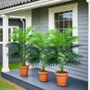 3pcs Outdoor Artificial Green Plants, High Simulation Palm Tree Sets, Indoor/outdoor Use, Excluding Flower Pots.