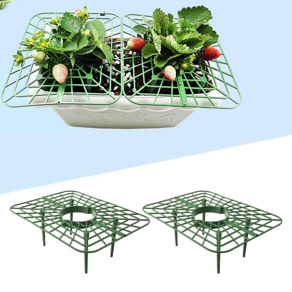 High Quality Plastic Strawberry Supports Number Of Pieces Saves Space Strawberry Plant Support Sturdy Support Feet More Install