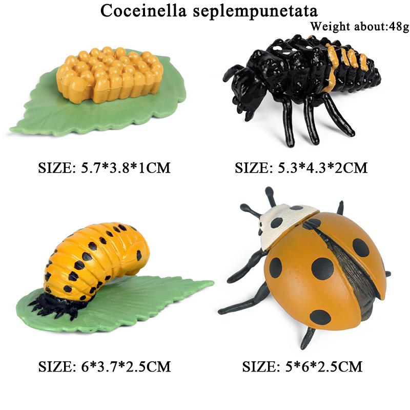 Oenux Simulation Luna Moth Salmon Butterfly Ants Life Growth Cycle Animals Model Action Figures Educational Miniature Kids Toy