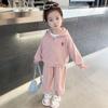 Girls Spring Autumn Tracksuit Long Sleeve Hoodie And Casual Pants 2 Piece Set Kids Sportswear