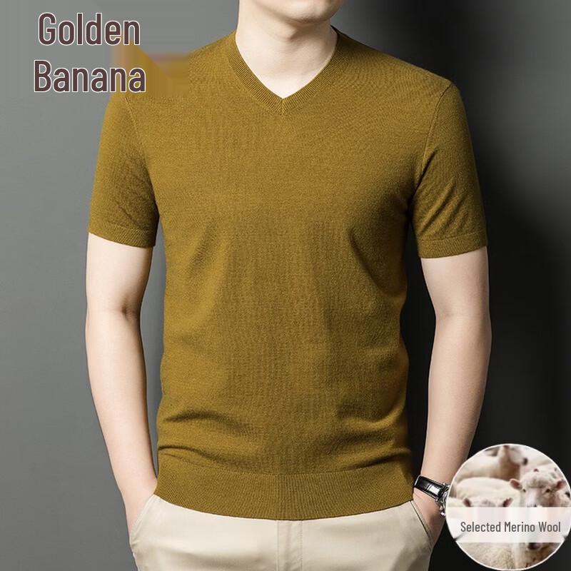 

Jinju V-Neck Short Sleeve Worsted Wool Blend Sweater XL