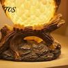 Compact Decorative Lamp for Shelf 3D Animal LED Night Light, Resin Dolphin Owl Lion Sculpture Table Creative Desktop Decor Office Lamp, USB