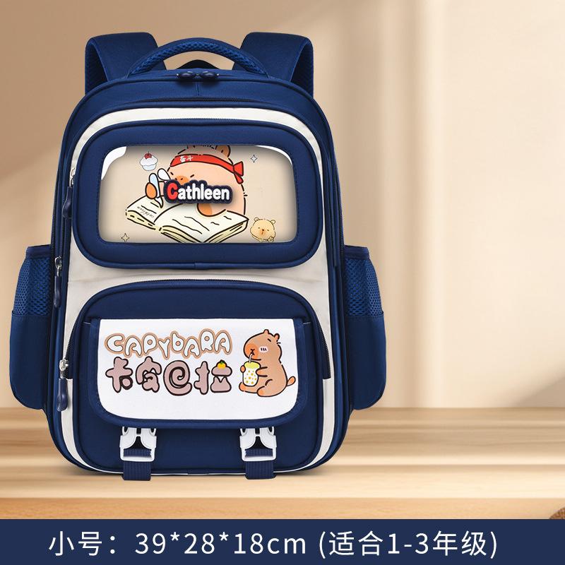 The new schoolbag for primary school students in grades 1-6 Kapibara reduces the burden and protects the spine. Children's backpack batch