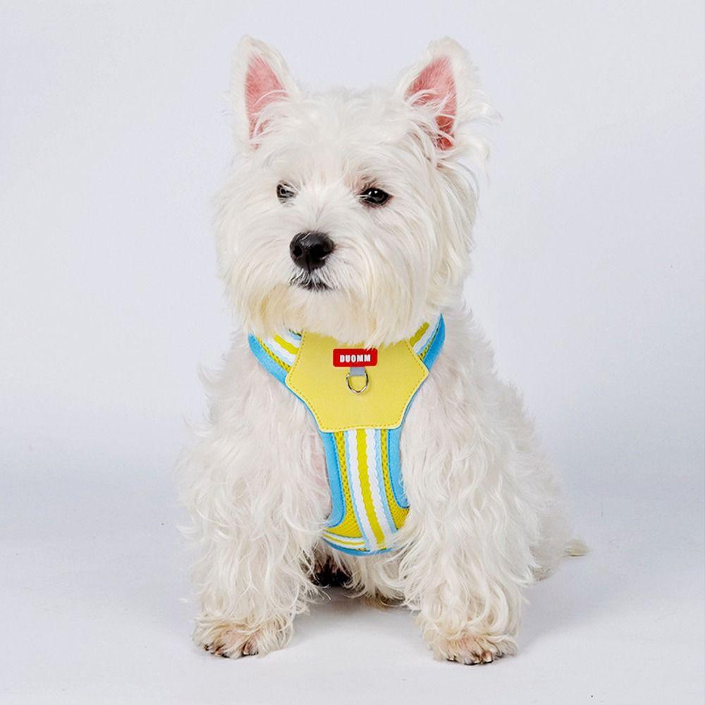 Adjustable Dog Harness and Leash Set Padded Dog Collars Leash Set Pet Walking Vest All Seasons
