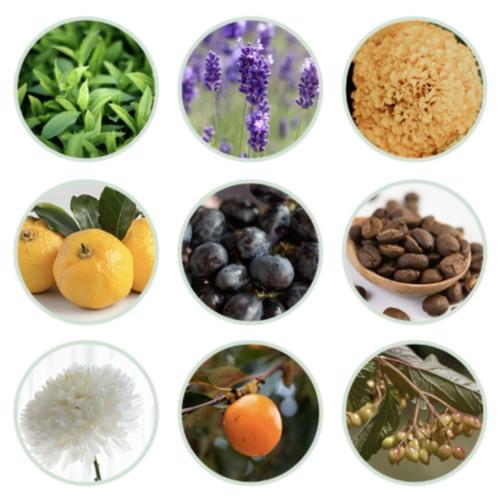 MJ All Skin Care Hühnerhirse Serum 30ml