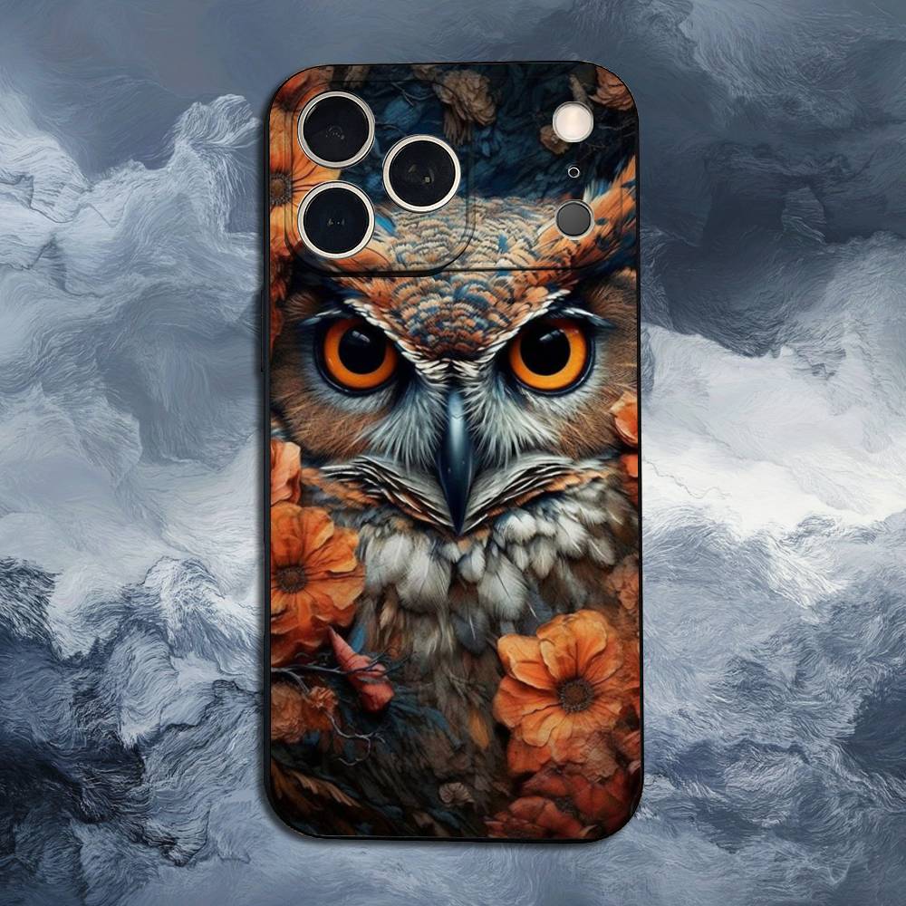 Cute C-Colorful Owl B-Bird For iPhone 12,14,13,15,8,7,16,11,17,X,Mini,Plus,Pro,XR,SE,XS,Max,Soft Silicone Black Case