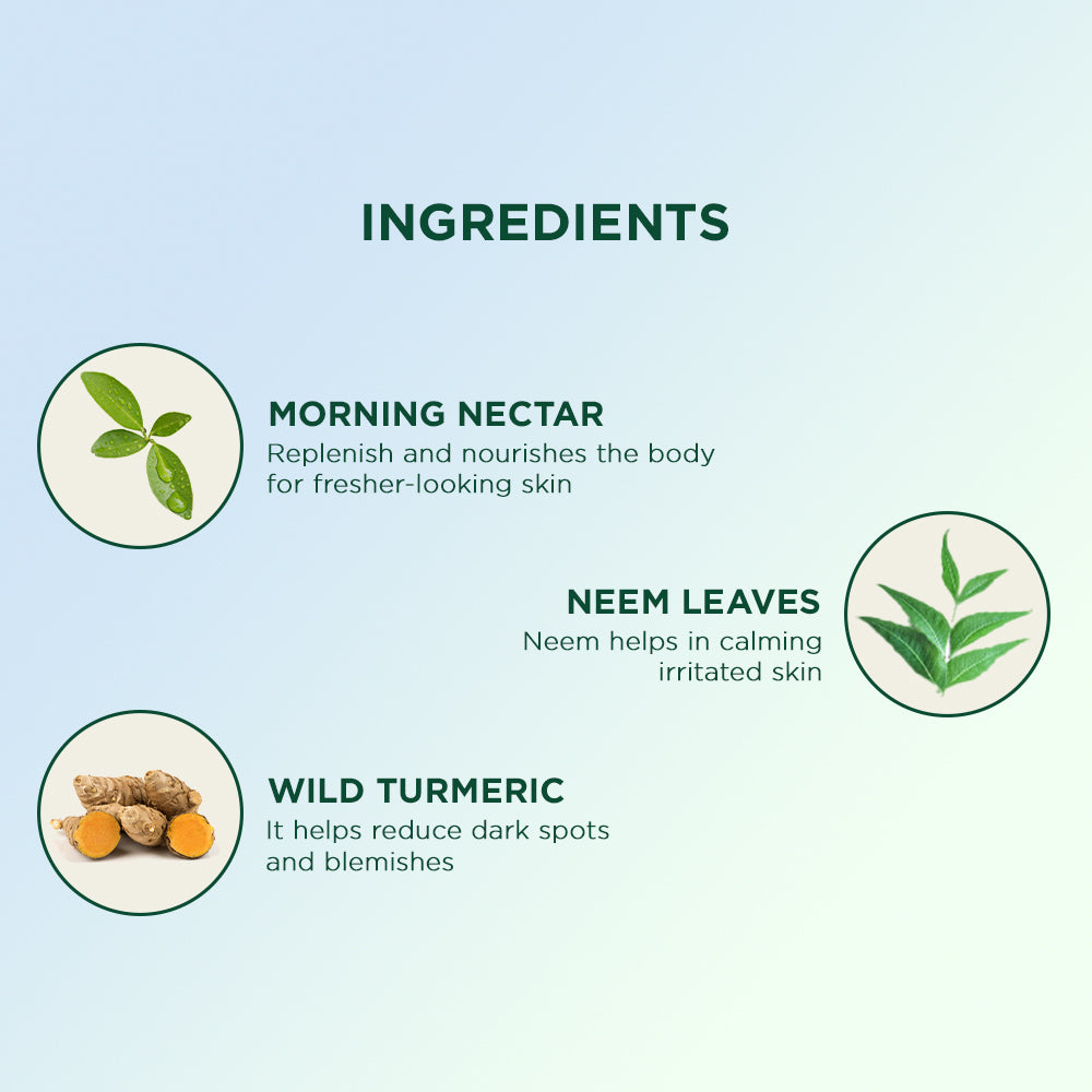 Biotique Morning Nectar Body Wash For Hydrated Glowing Skin, 200ml, Preservative Free, Vetiver Scent, All Skin Types