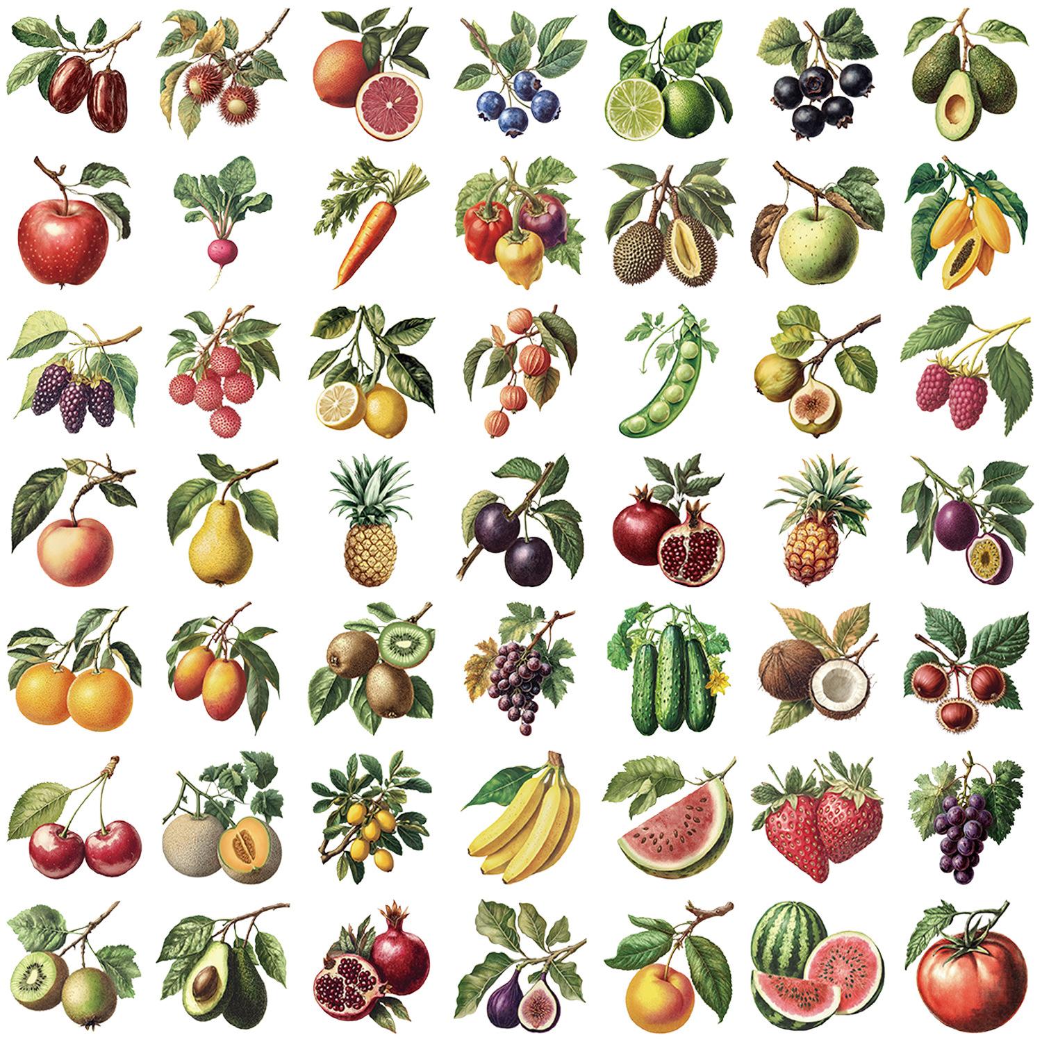 50 stuks Fruitstickers Blauwe Bes Transparante PET Stickers DIY Voor Scrapbook, Journaling, Laptop, Bumper, Skateboard, Waterflessen