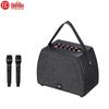 HuiDu NB-500L Professional Portable Live Performance & Recording Speaker with Dual Mics