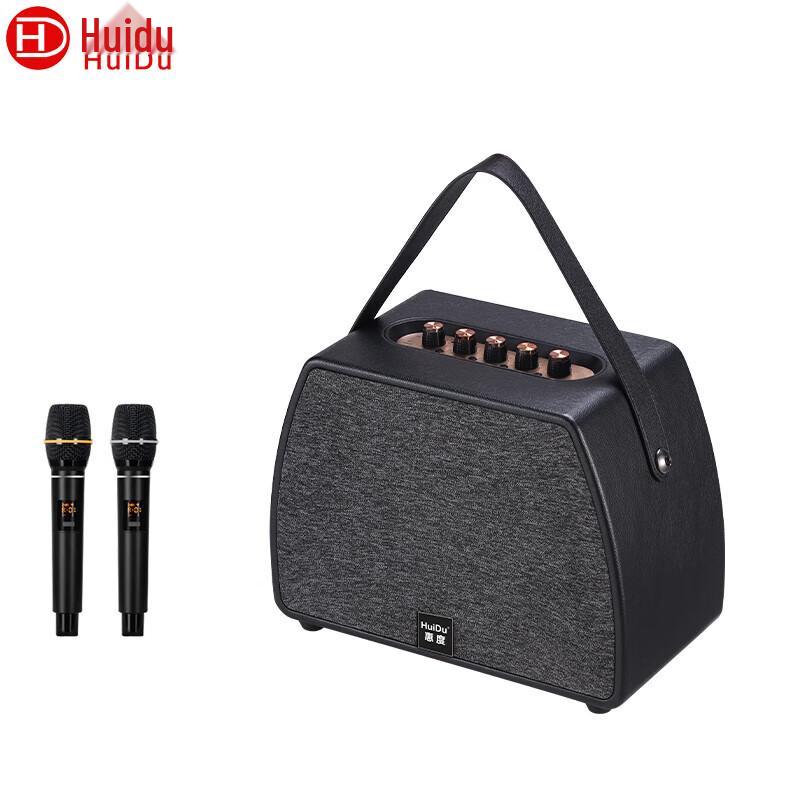 HuiDu NB-500L Professional Portable Live Performance & Recording Speaker with Dual Mics