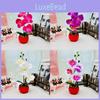 Phalaenopsis Artificial Plant For Home Decor And Wedding Arrangements