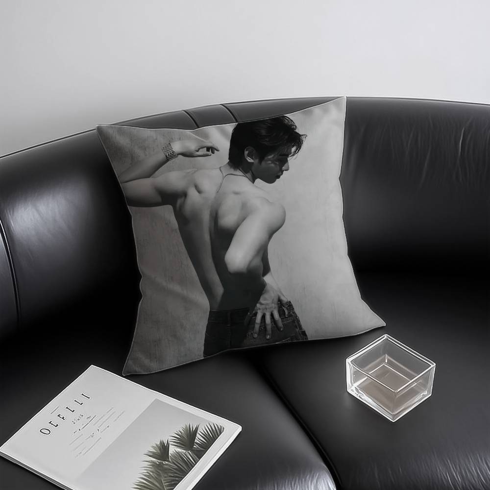 Kpop Singer Cha EEun WWoo Pillow Case Antidustmite Invisible zipper Sofa Bed