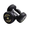 Shuhua R390 Steel Dumbbell Pair