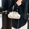 Summer Cute Crossbody Bag Wrinkled Clutch Fashiable and Versatile Shoulder Bag for Women Trendy Casual and Simple Chain Bag