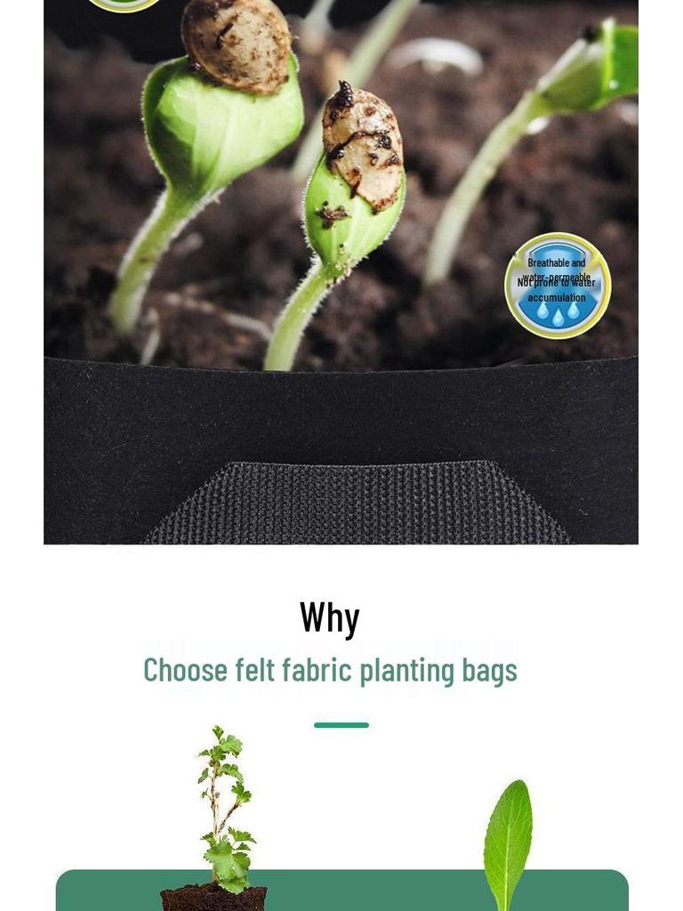 Thickened Non-Woven Seedling Bag for Planting - 3 Gallon Fabric Pot for Trees and Flowers