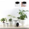 Automatischer Bewässerungs-Blumentopf 12 cm Rund Kunststoff Selbstbewässernder Pflanztopf für Sukkulenten Indoor-Gartendekoration Home-Office-Nutzung