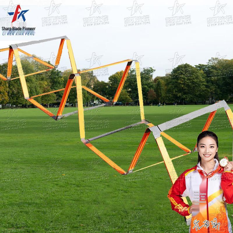 Multifunctional Agility Training Ladder