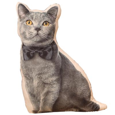 TOMMYFIELD Pomeranian Plush Toy Goods Dog Plush Toy Realistic Healing Fluffy 3D (Cat B) [Product]