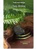 Turtle Climbing & Bathing Habitat with Moisturizing Features and Decorative Landscaping