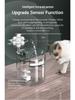 Smart Pet Water Dispenser & Feeder with Automatic Circulation Filter for Cats and Kittens