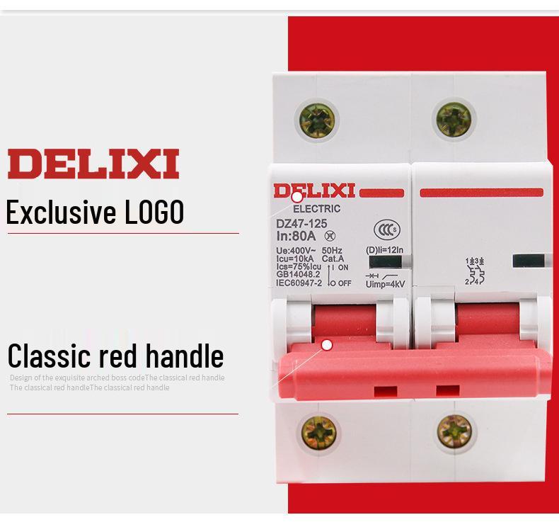 DELIXI DZ47-125 100A/125A Type D Miniature Circuit Breaker for High Current