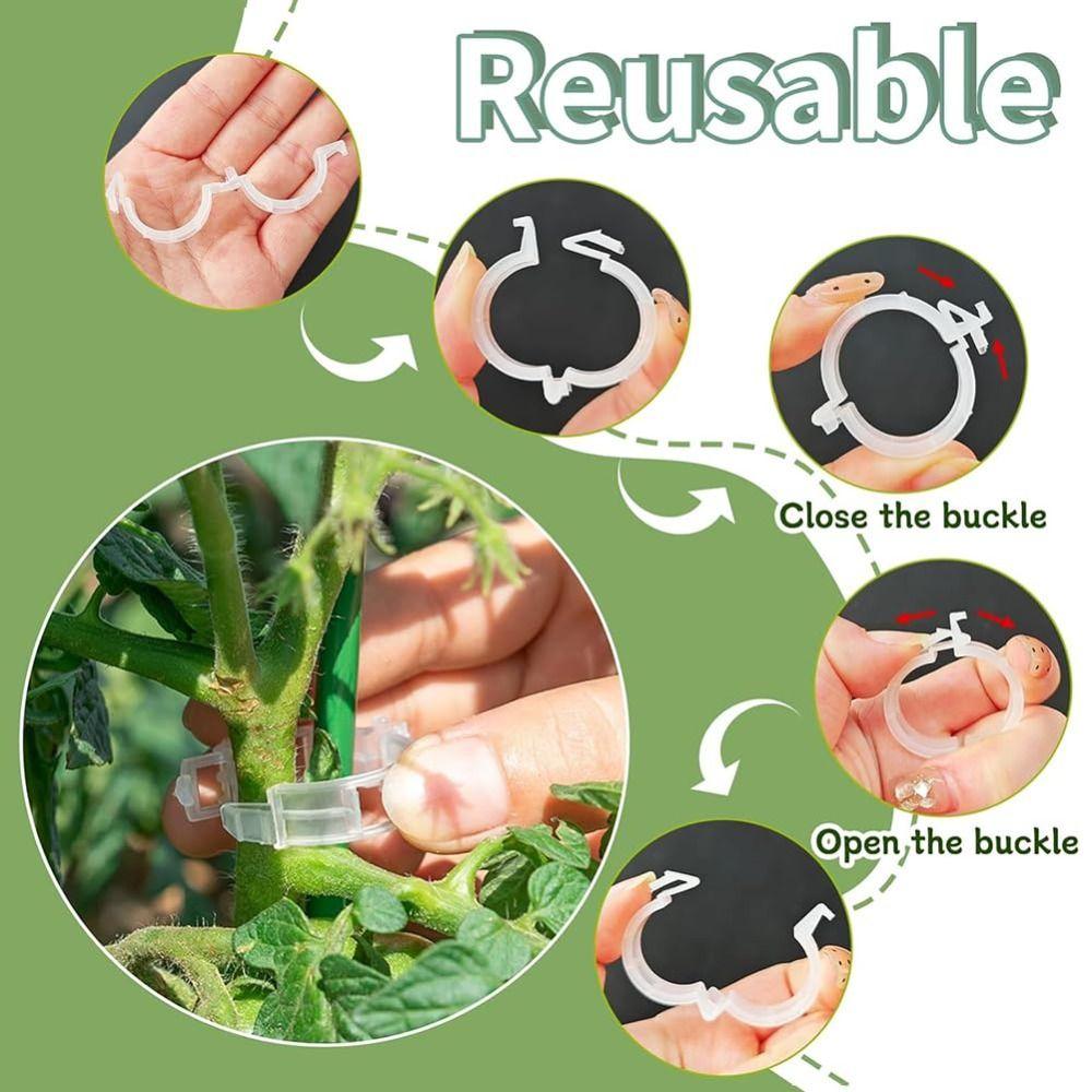 100 PCS Reusable Plant Support Clips Snap-Lock Design Trellis Clips Plant Clips  Tomato Plant