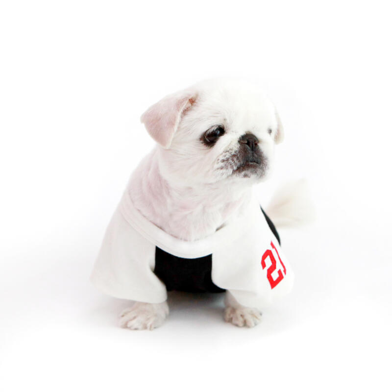 KINI WE ARE HAPPY TSHIRT-2COLOR (Short Sleeve T-shirt) gray