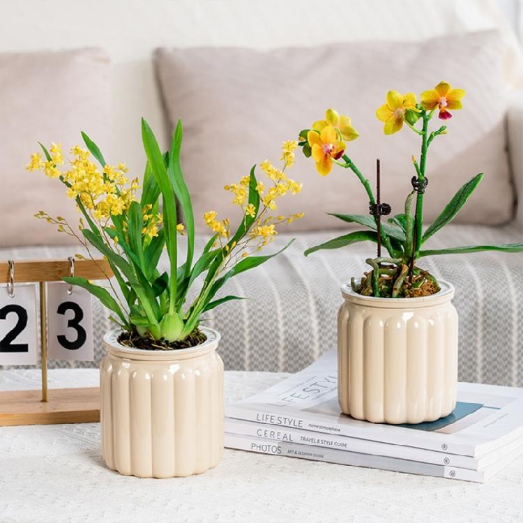 Self Watering Plant Pots Vase with Efficient Moisture Control for Easy Plant Maintenance Living Room Office Decoration